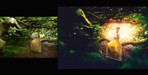 Vorschau Photoshop Big Aktion Paket – Into the Forest