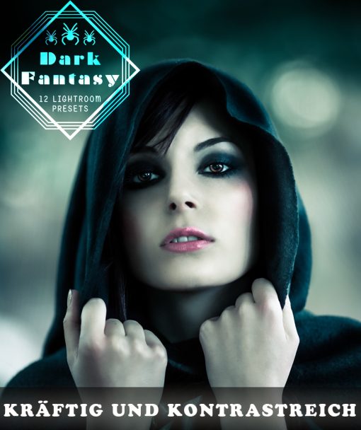 Dark Fantasy Produktbild 1