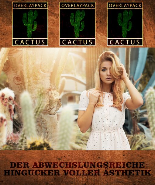 OP Hochkant Cactus 1