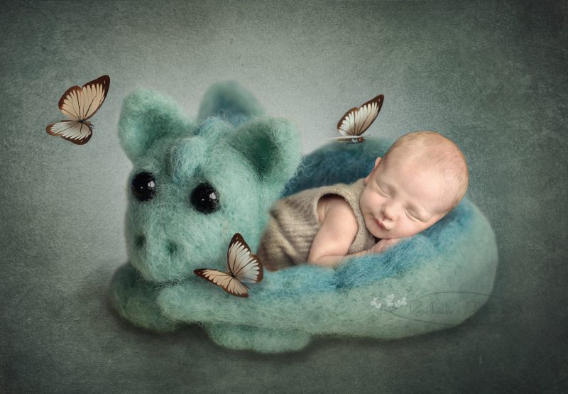 newborn-animals-nachher1