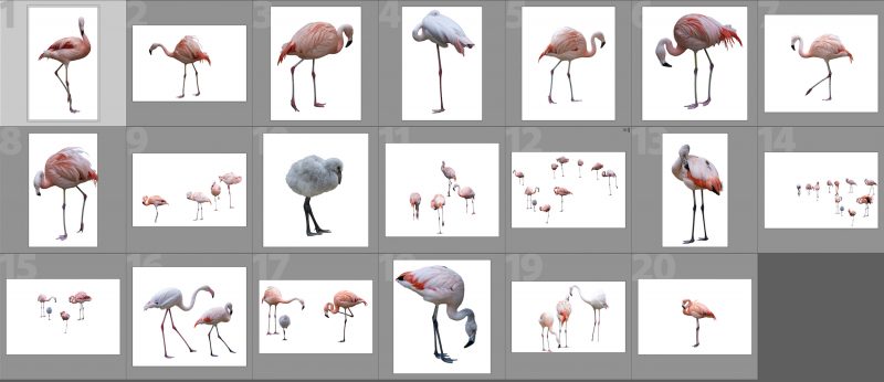 flamingo-collage