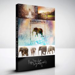 produktbox-elephants