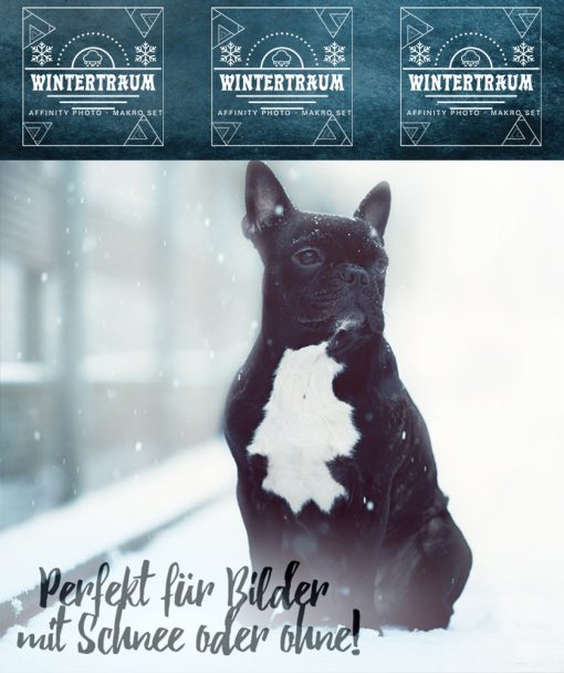 Wintertraum Produktbild-3