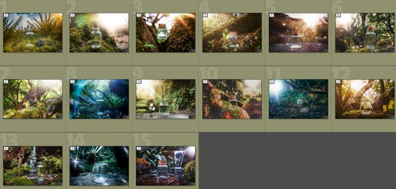 madeira-bottles-jungle-edition-collage